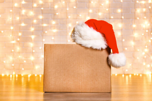 Box in a warehouse wearing a Santa hat