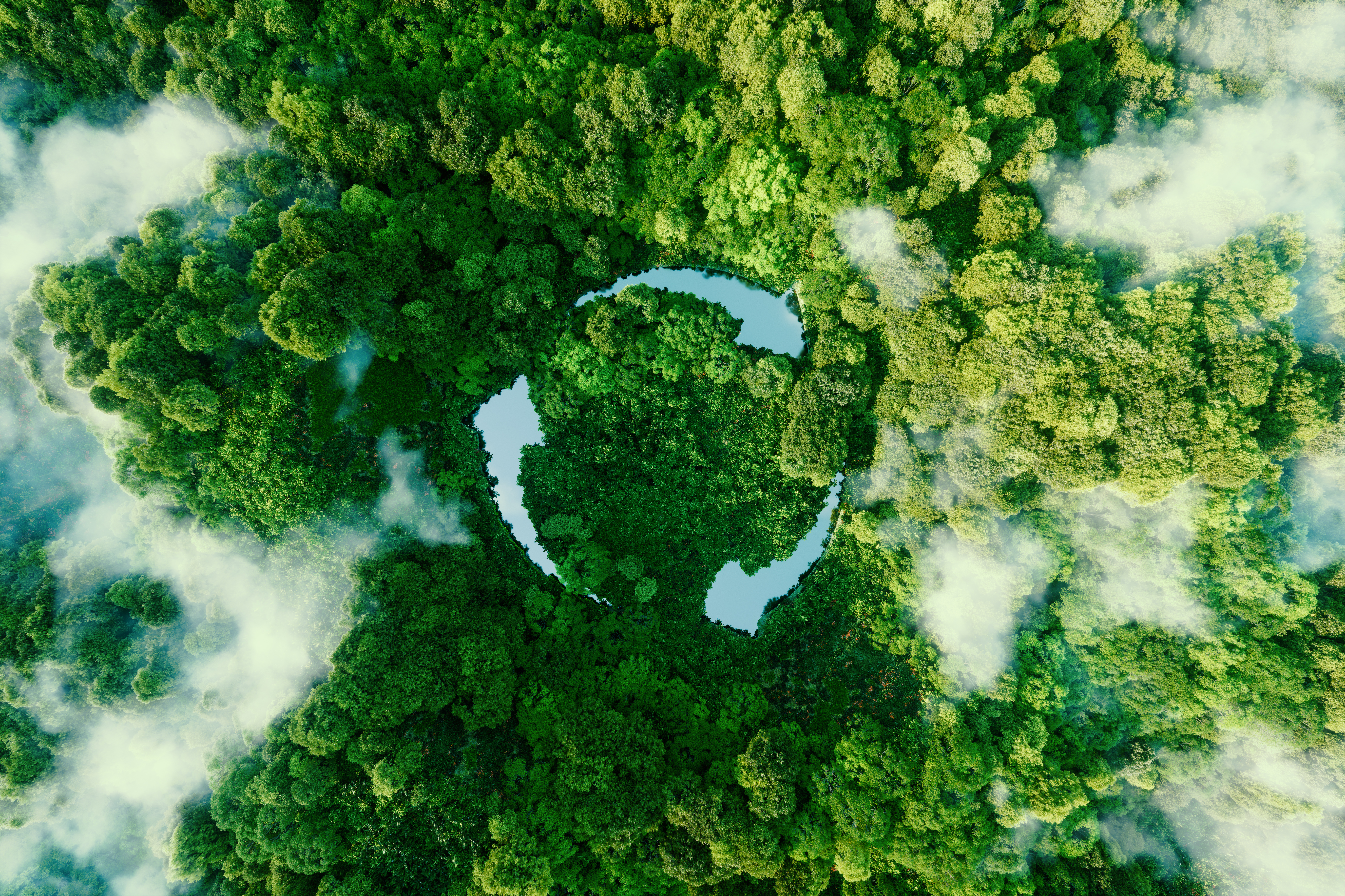 Sustainability image
