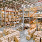 Demystifying Warehouse Robots: Starter Automation or the Real Deal?