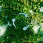 RaaS and the Circular Economy for Warehouse Sustainability